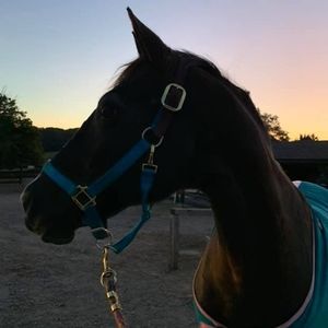 Meet your Posher, Terri